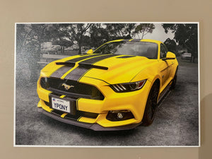 Your Car Wall Art